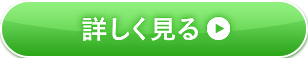 詳しく見る