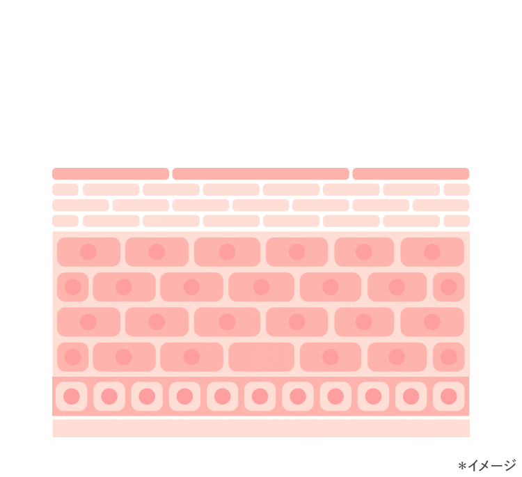メラノサイト